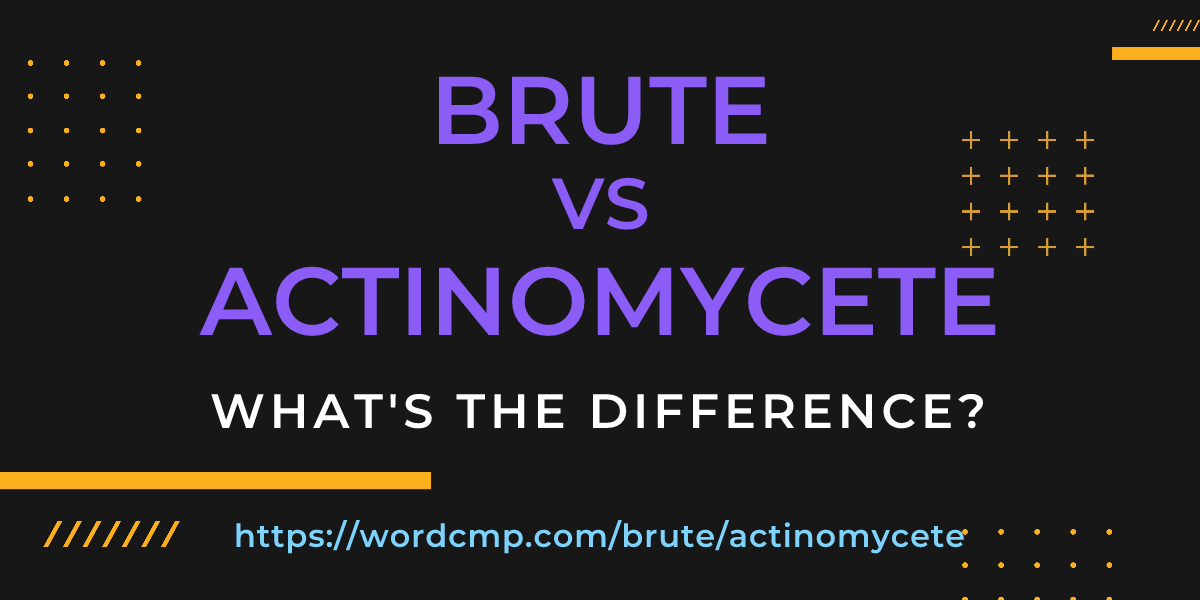 Difference between brute and actinomycete
