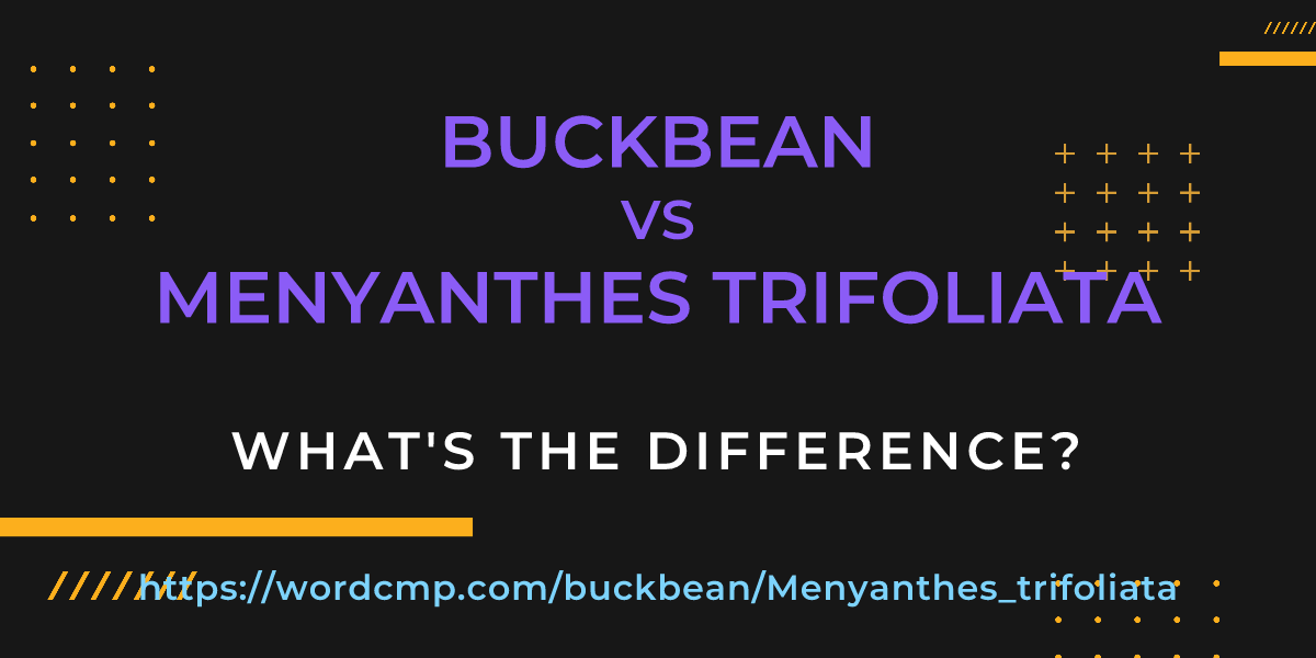 Difference between buckbean and Menyanthes trifoliata