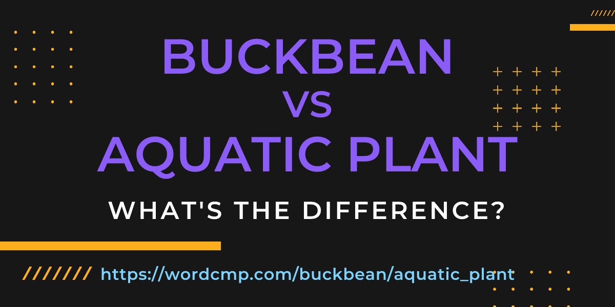 Difference between buckbean and aquatic plant