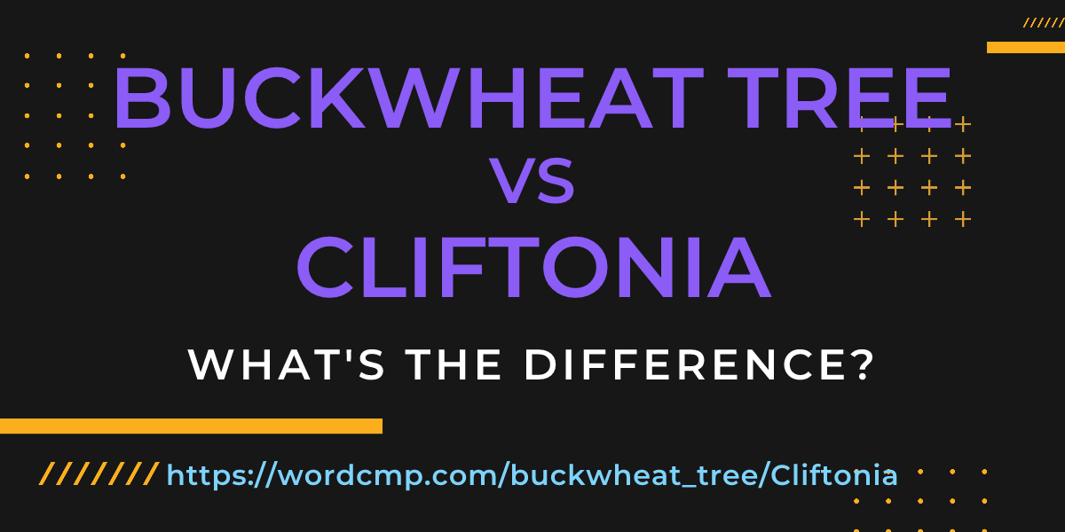 Difference between buckwheat tree and Cliftonia