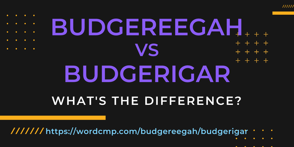 Difference between budgereegah and budgerigar