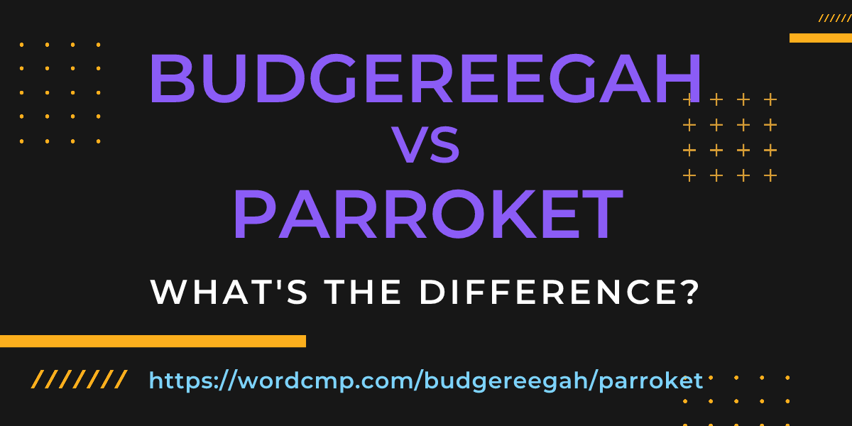 Difference between budgereegah and parroket