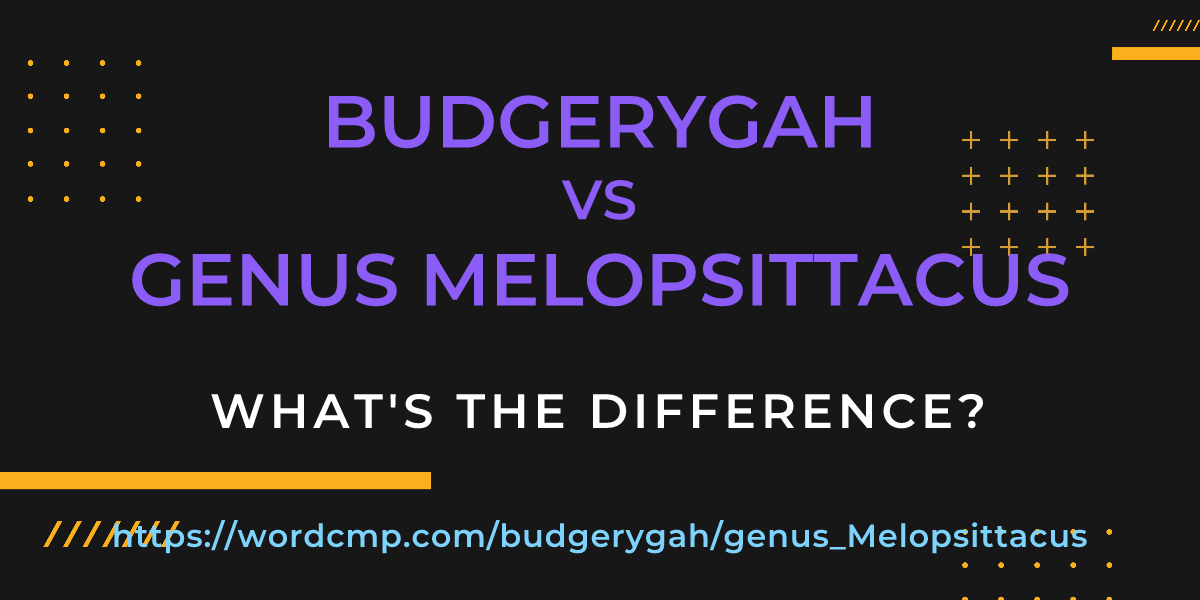 Difference between budgerygah and genus Melopsittacus