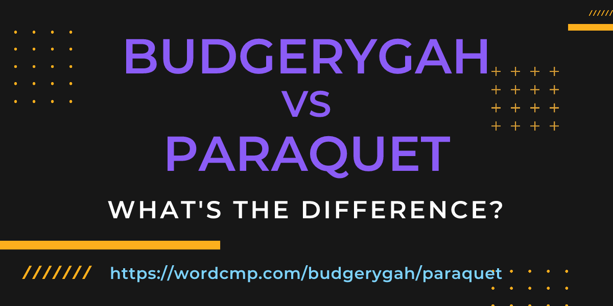 Difference between budgerygah and paraquet