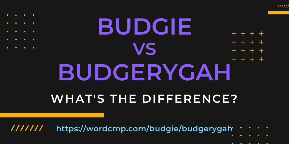 Difference between budgie and budgerygah