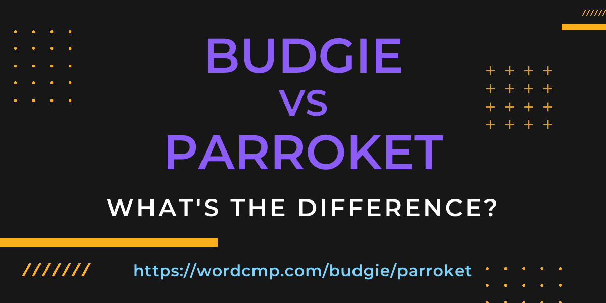 Difference between budgie and parroket