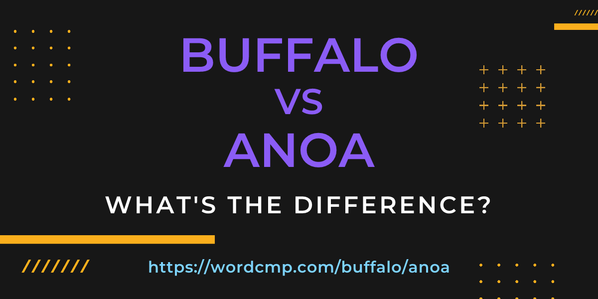 Difference between buffalo and anoa
