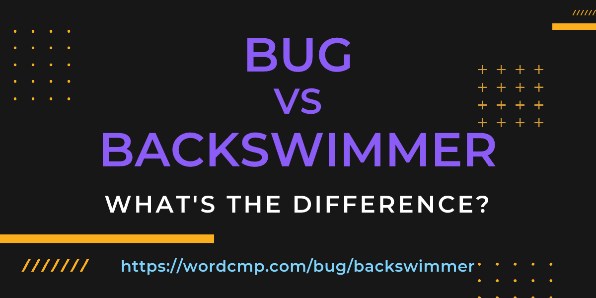 Difference between bug and backswimmer