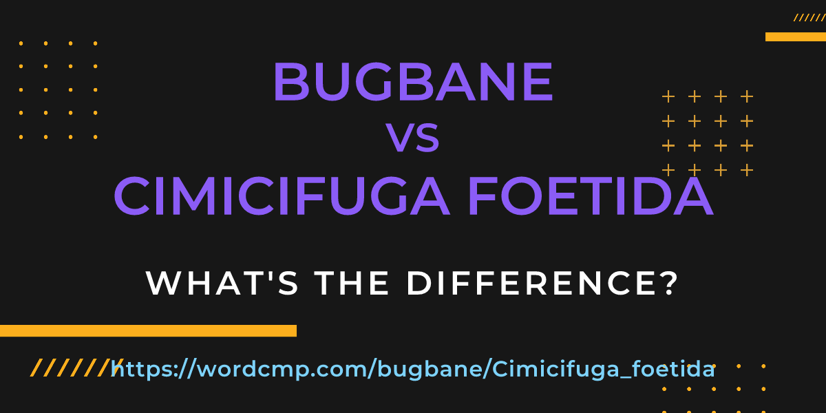 Difference between bugbane and Cimicifuga foetida