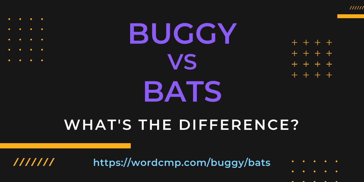 Difference between buggy and bats
