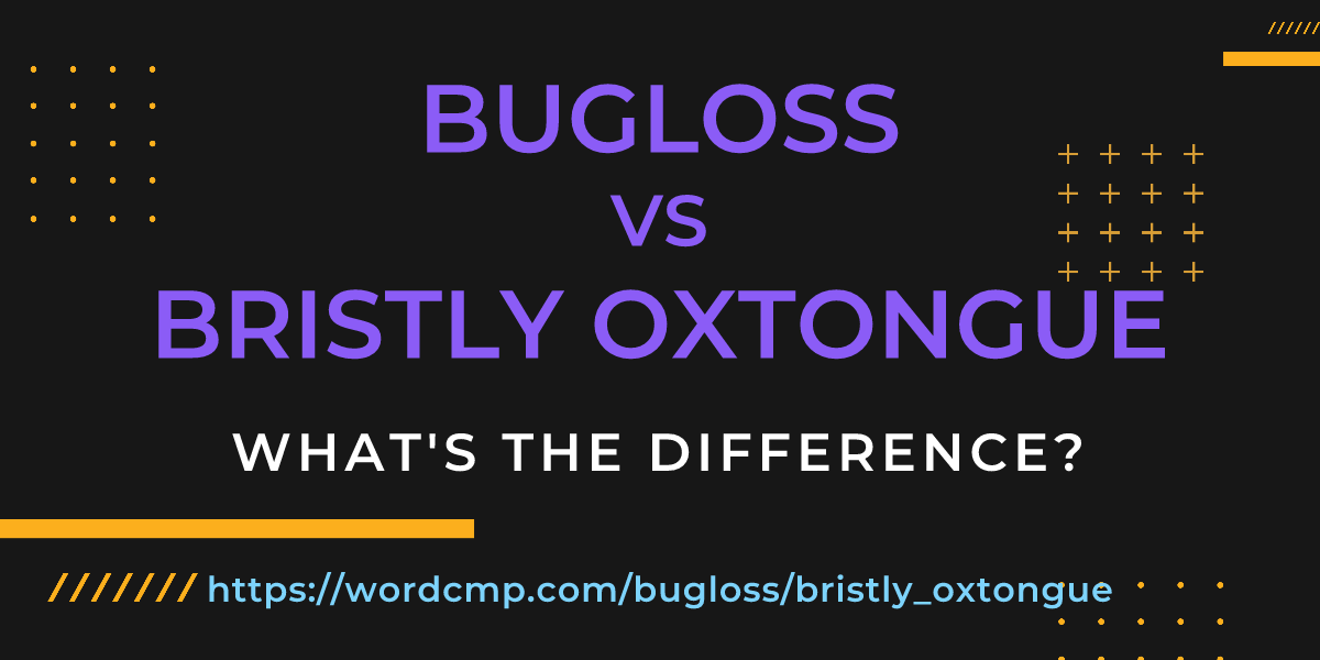 Difference between bugloss and bristly oxtongue