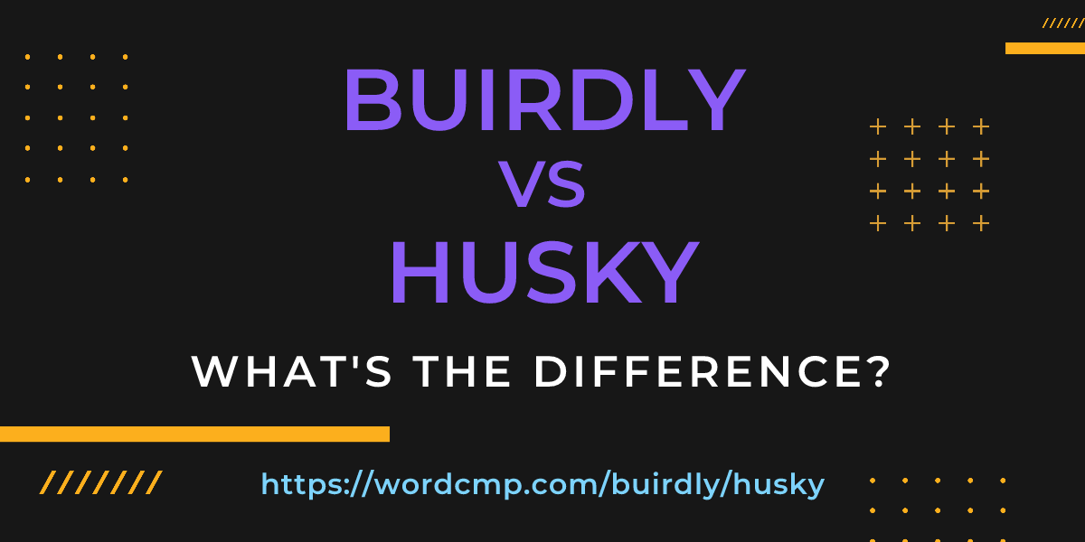 Difference between buirdly and husky