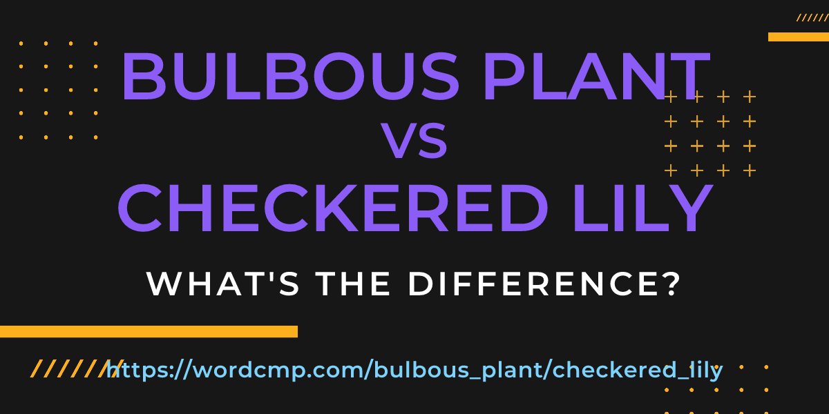 Difference between bulbous plant and checkered lily
