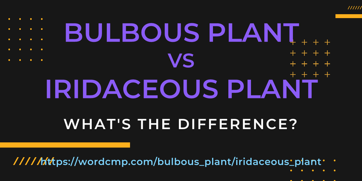Difference between bulbous plant and iridaceous plant
