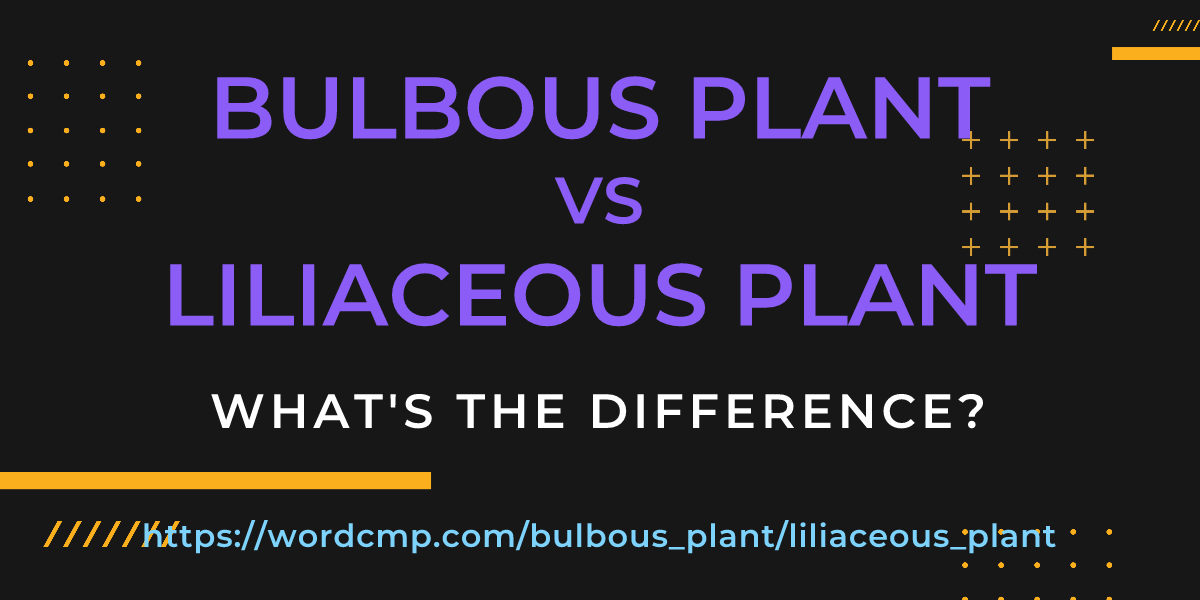 Difference between bulbous plant and liliaceous plant
