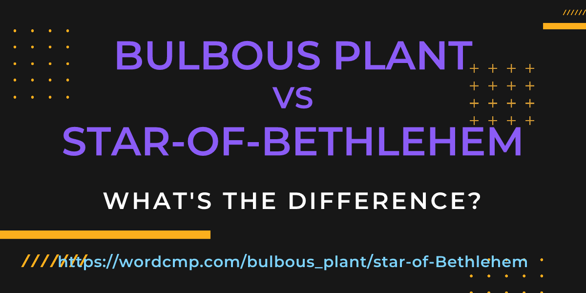 Difference between bulbous plant and star-of-Bethlehem