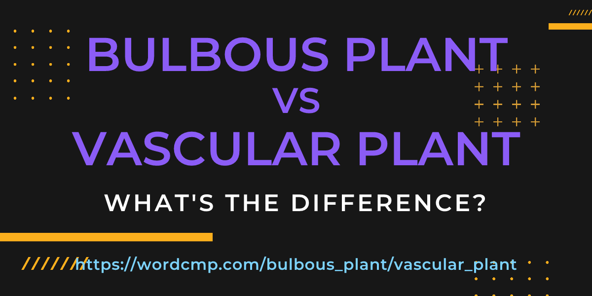 Difference between bulbous plant and vascular plant