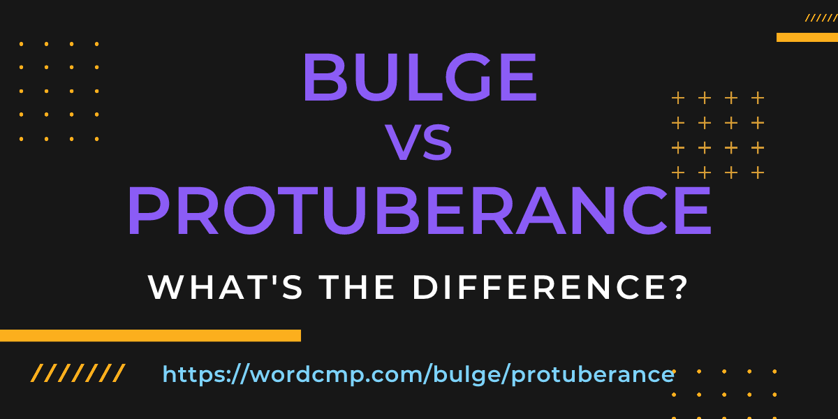 Difference between bulge and protuberance