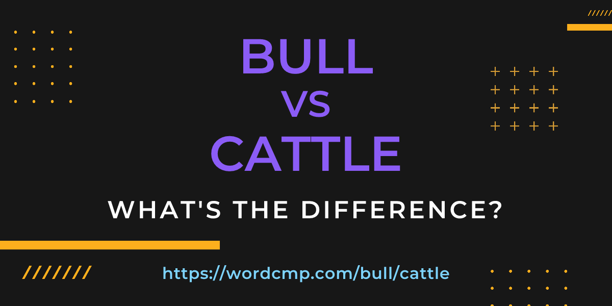 Difference between bull and cattle