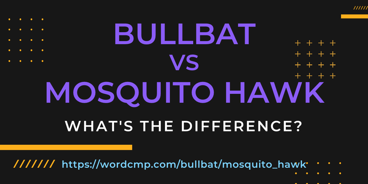 Difference between bullbat and mosquito hawk