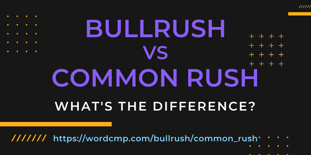 Difference between bullrush and common rush