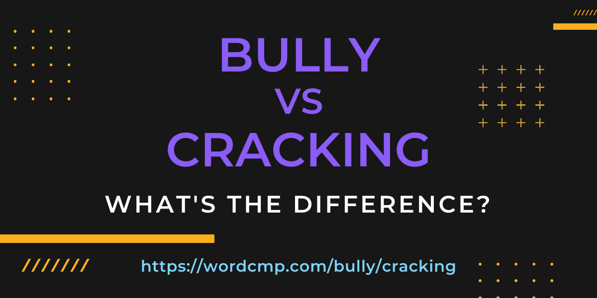 Difference between bully and cracking