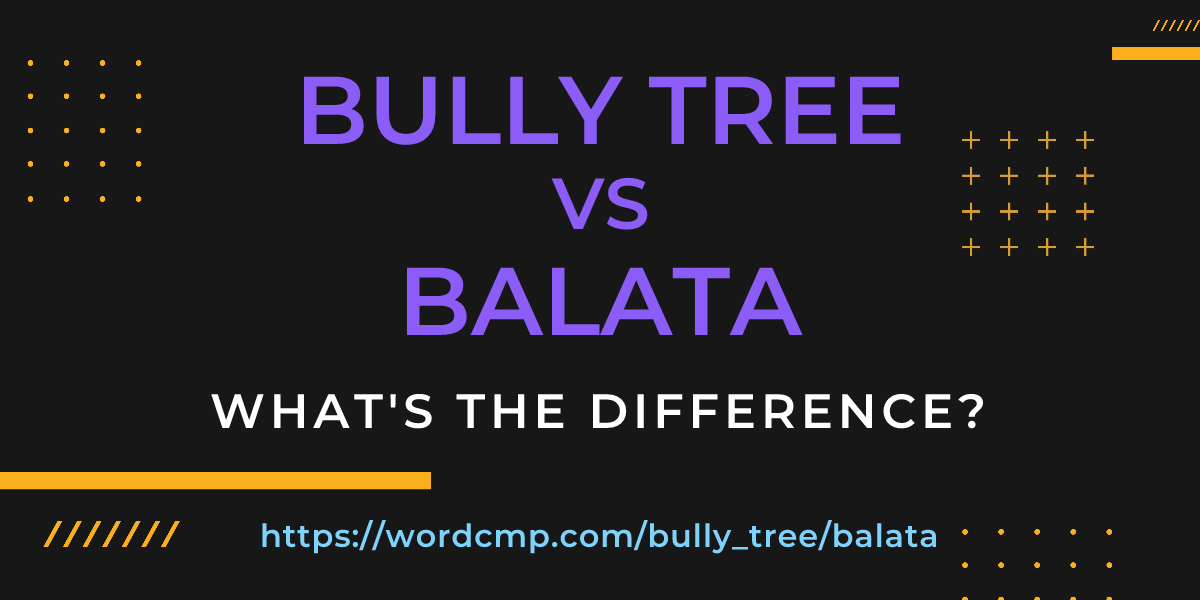 Difference between bully tree and balata