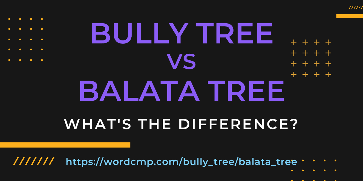 Difference between bully tree and balata tree