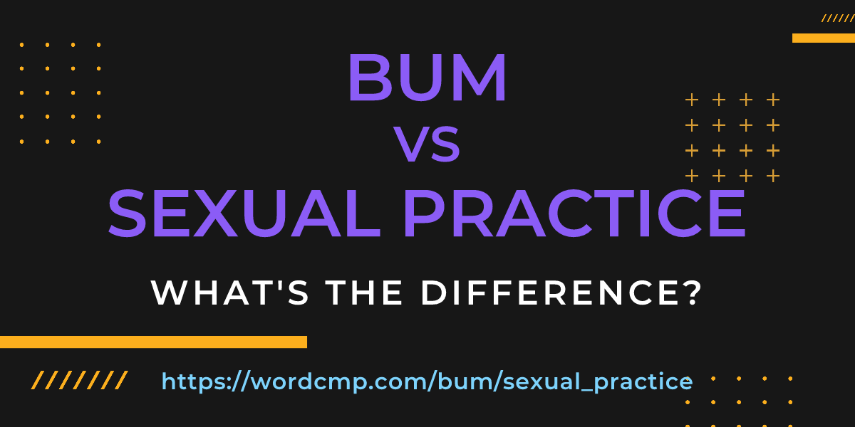 Difference between bum and sexual practice