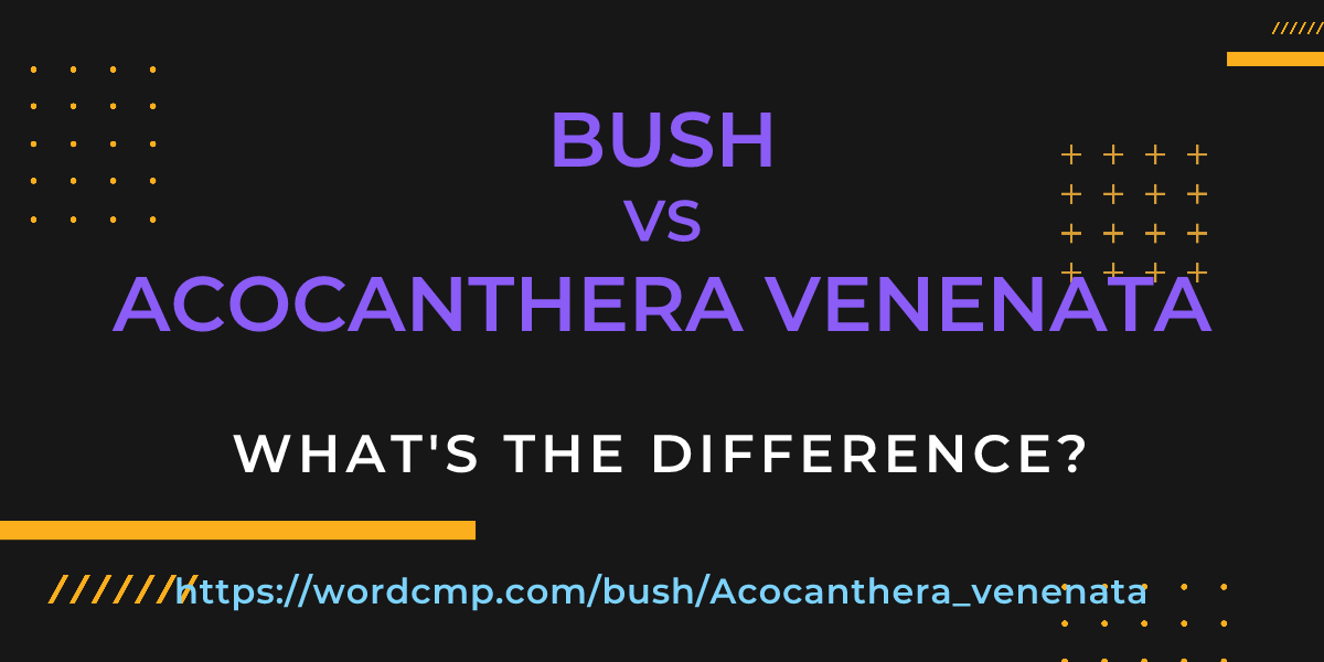 Difference between bush and Acocanthera venenata
