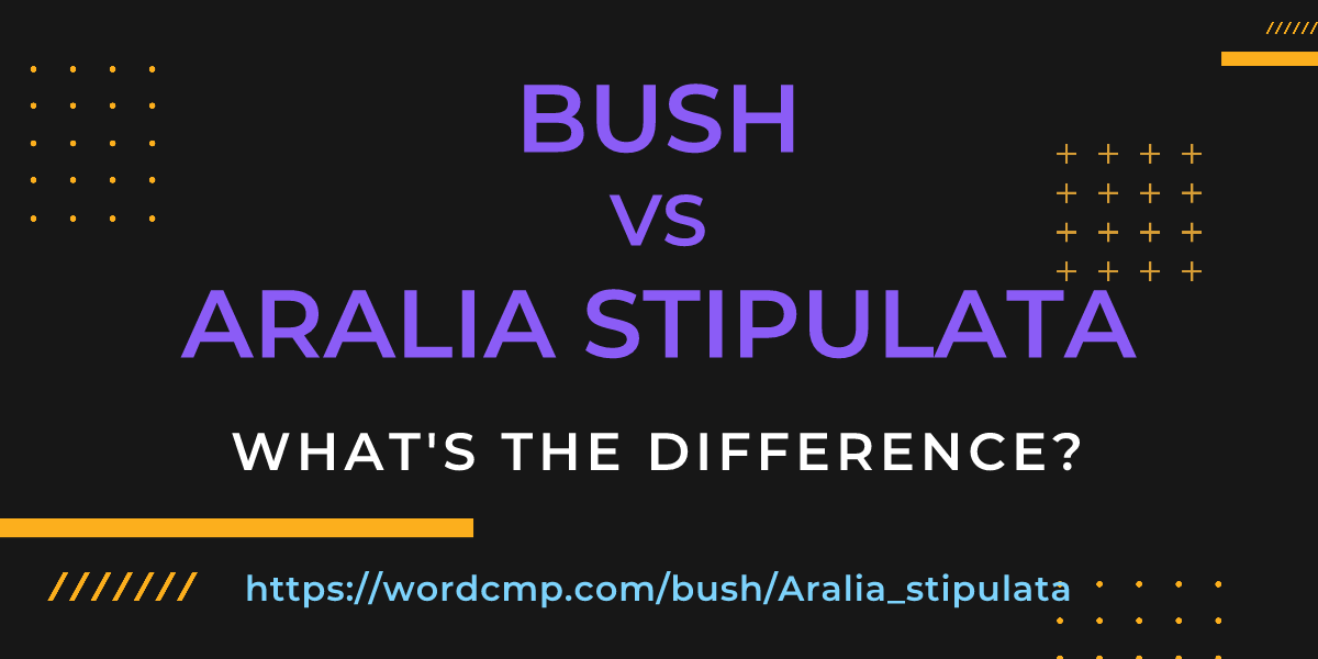 Difference between bush and Aralia stipulata