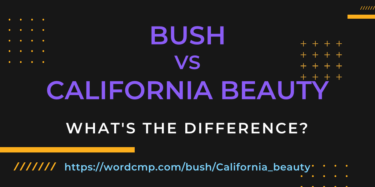 Difference between bush and California beauty