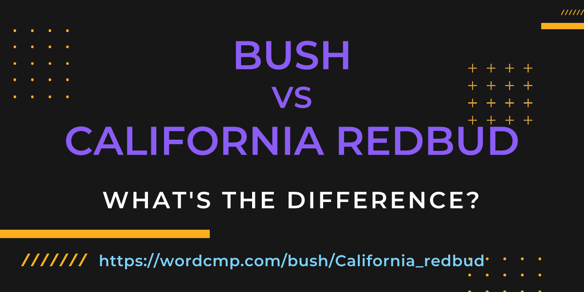 Difference between bush and California redbud