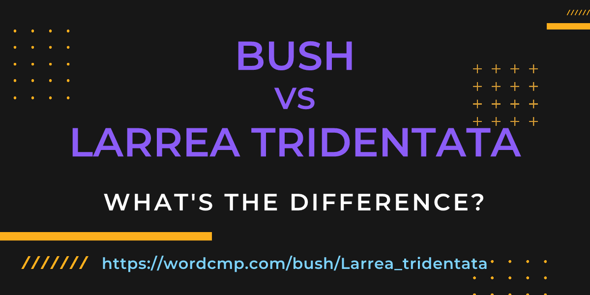 Difference between bush and Larrea tridentata