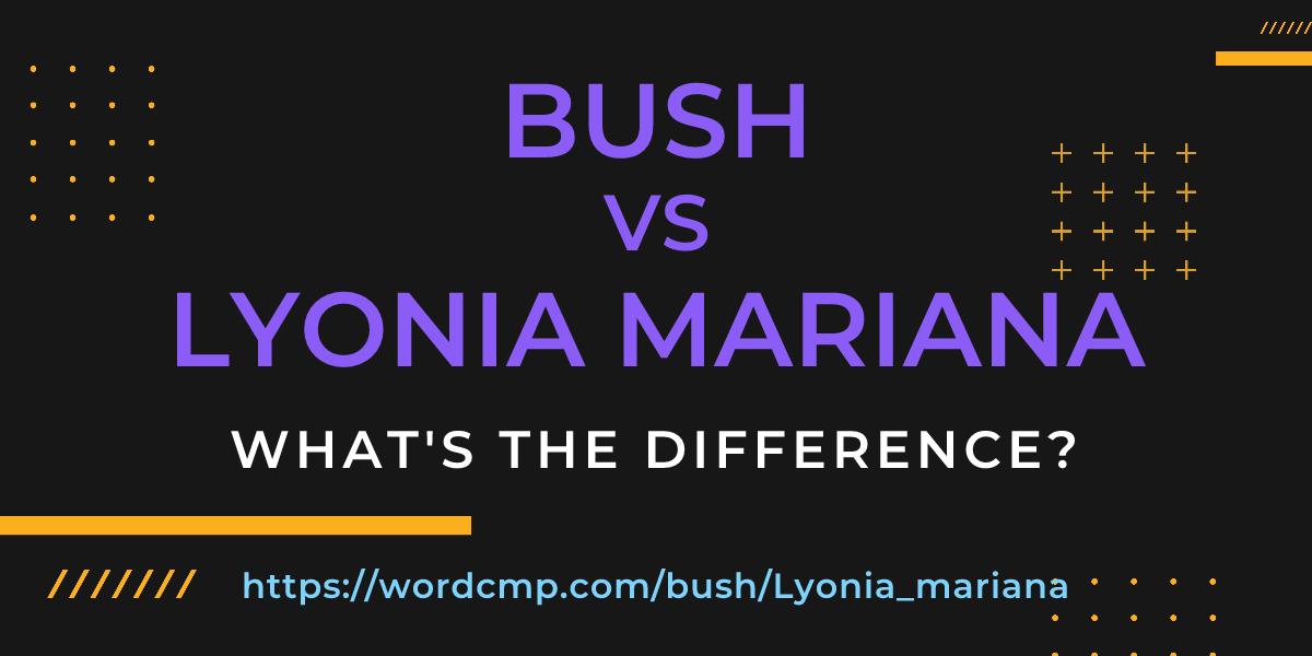Difference between bush and Lyonia mariana