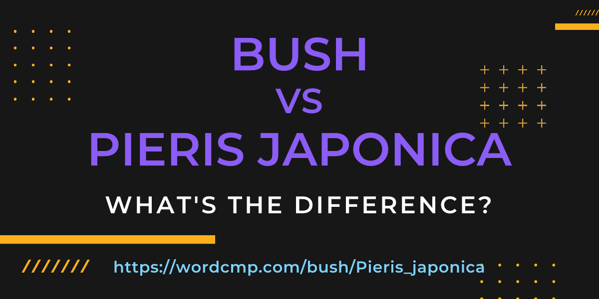 Difference between bush and Pieris japonica
