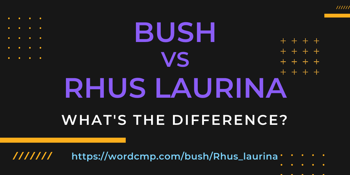 Difference between bush and Rhus laurina