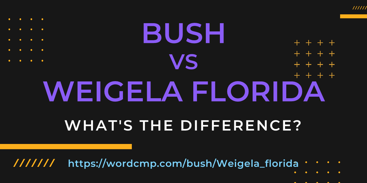 Difference between bush and Weigela florida