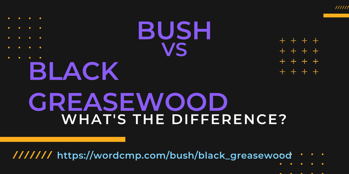 Difference between bush and black greasewood