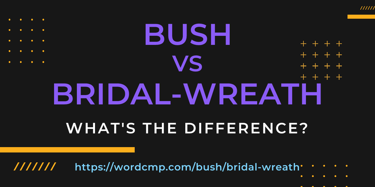 Difference between bush and bridal-wreath