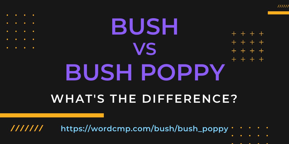 Difference between bush and bush poppy
