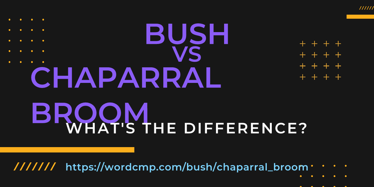 Difference between bush and chaparral broom