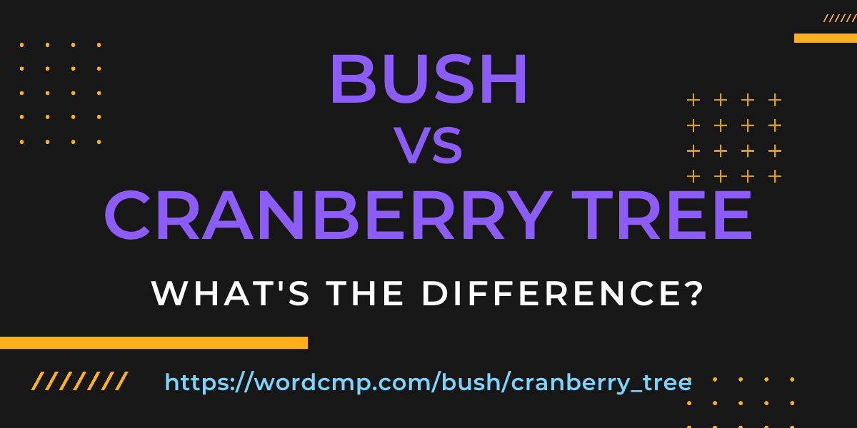 Difference between bush and cranberry tree