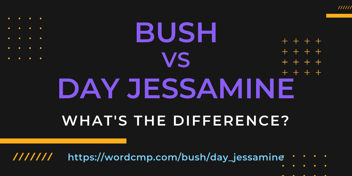 Difference between bush and day jessamine