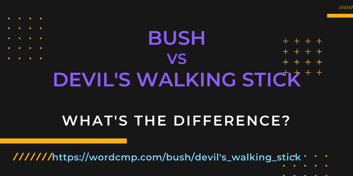 Difference between bush and devil's walking stick