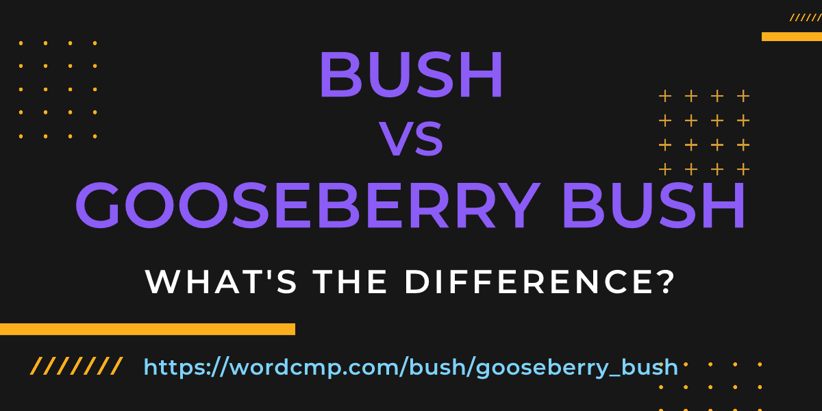Difference between bush and gooseberry bush