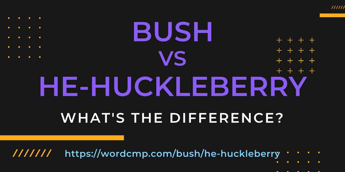 Difference between bush and he-huckleberry