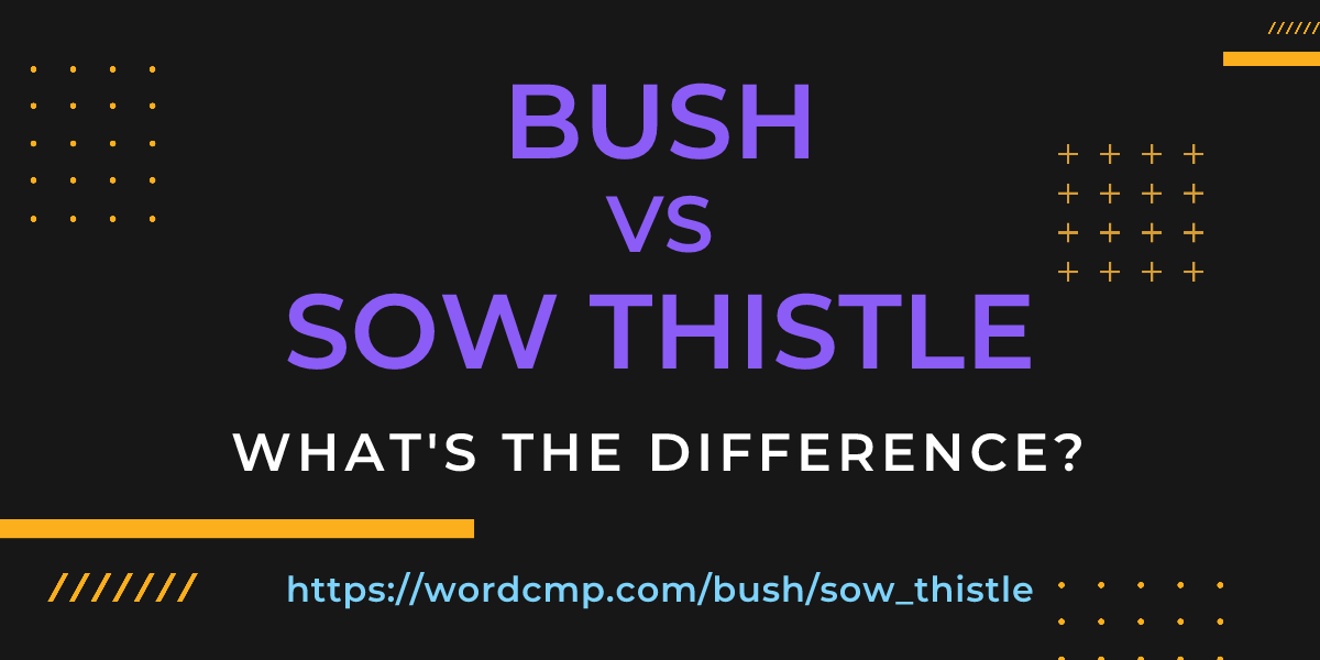 Difference between bush and sow thistle
