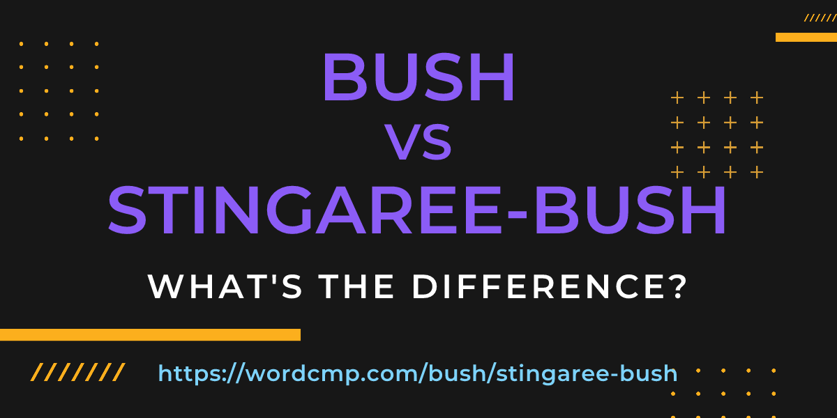 Difference between bush and stingaree-bush