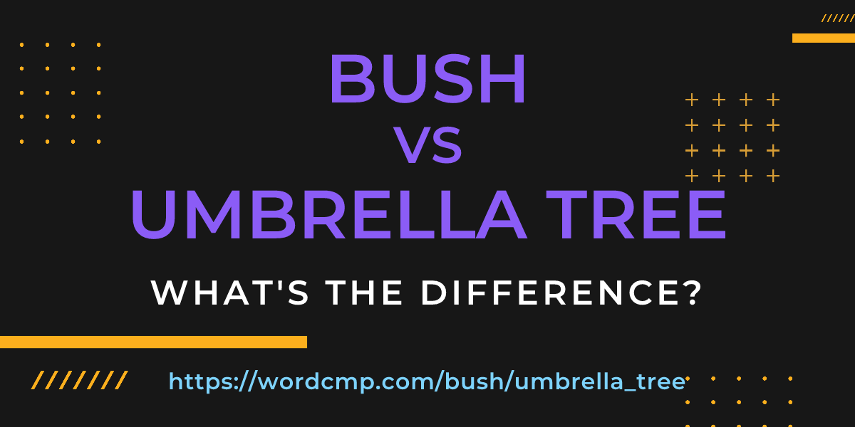Difference between bush and umbrella tree
